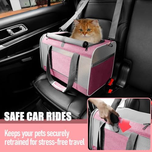 GAPZER Large Cat Carrier Soft, Collapsible Travel Pet Carry Bag, Small Dogs - Image 5