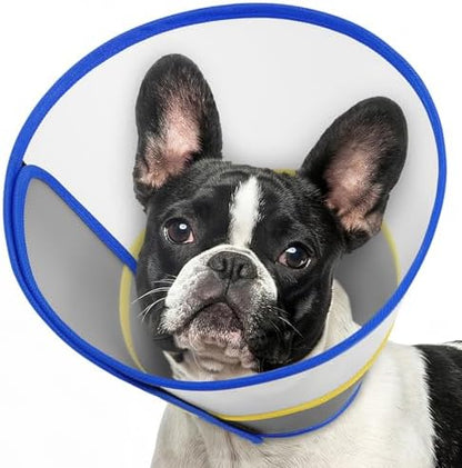 Queenmore Soft Dog Cone Collar for Dogs and Cats After Surgery, Flexible Plastic Cone for Dogs, Dog Recovery Collar, Elizabeth E-Collar Pet Head Cones for Neutering Spay Injury, Blue Medium by Queenmore