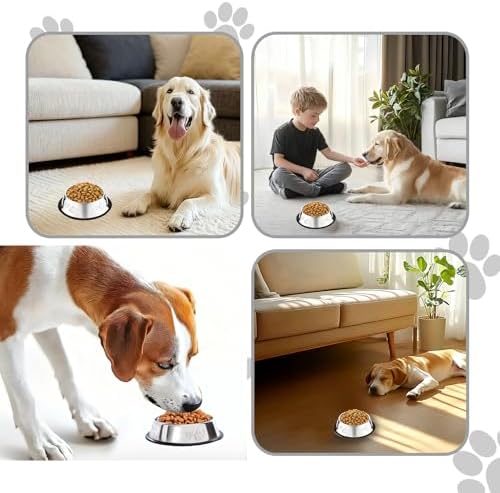 10 Pcs Stainless Steel Dog Bowl Pet Feeding Bowl with Rubber Base Non-Slip Pet Dishes Metal Dog Bowls Pet Food and Water Bowls for Small Medium Animals Kitten Rabbit (10.1 oz) - Image 3