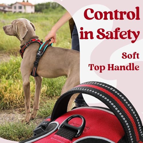 rabbitgoo Dog Harness Small Sized, Updated Easy On & Off with 3 Buckles - Image 5