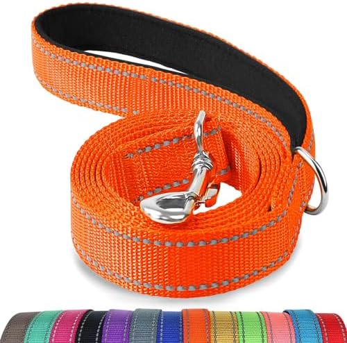Joytale Reflective Dog Leash for Small Dogs, 4 FT x 3/4", Orange by Joytale