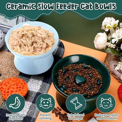 Tioncy 2 Pcs Ceramic Elevated Slow Feeder Cat Bowl, Dark Green, Blue - Image 4
