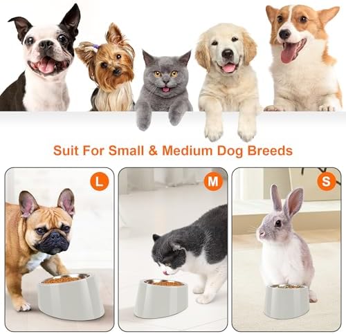 Tilted Dog Bowl Non-Slip & Non-Spill Pet Feeder with Elevated Detachable Melamine Stand, Easy to Get Food Dog Dish, S/100ml Gray - Image 3
