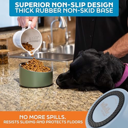 Master Pet Supply Stainless Steel Slanted Dog Cat Food Bowl 24 oz Glacier - Image 5