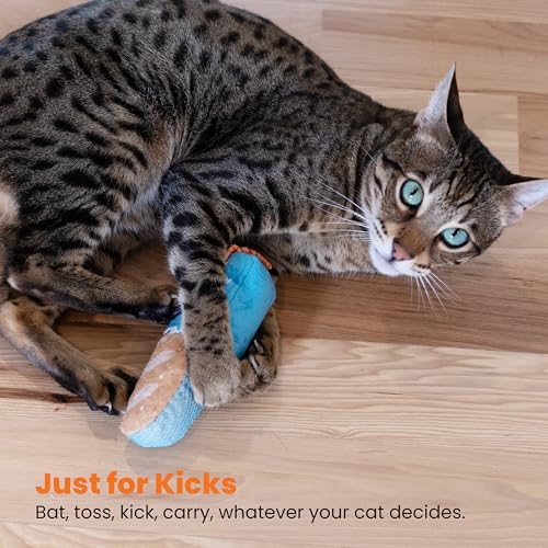 Catstages Loaf Kicker Interactive Cat Toy with Catnip & Dental Mesh, 6.5" - Image 6