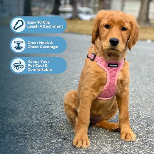 Voyager Step-in Flex Adjustable Dog Harness - Pink, X-Small - Image 5
