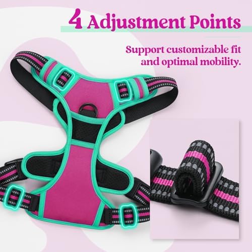 rabbitgoo Dog Harness, No Pull Medium Sized with 2 Leash Clips, Pet Vest - Image 4