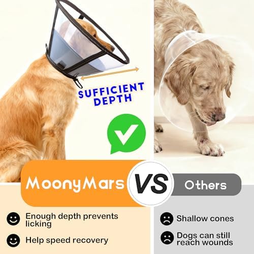 Soft Dog Cone, Stop Licking Deep Pet Recovery Collar After Surgery for Large Medium Dogs, Clear Plastic Breathable Elizabethan Head Neck Circle, Adjustable Comfortable Cones 20cm /8" Long (M Black) - Image 2