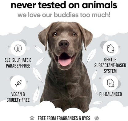 Derma Sensitive Dog Shampoo by Buddycare | with Aloe Vera and Pro Vitamin B5 (33.8oz) - Image 5