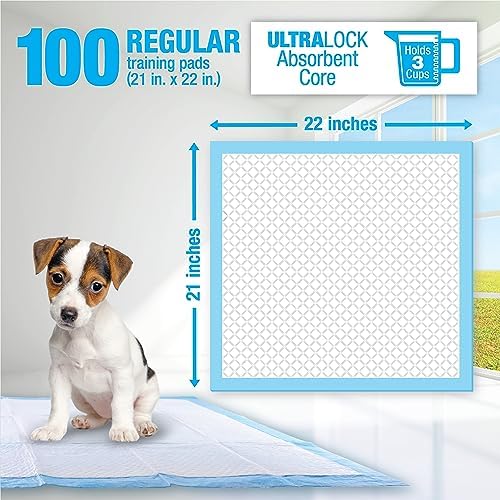 Lil' Squirts Puppy Training Pads 100 Pack for Potty Training & Housebreaking, UltraLock Absorbent Core, Leak-Proof, Odor Control - Image 3