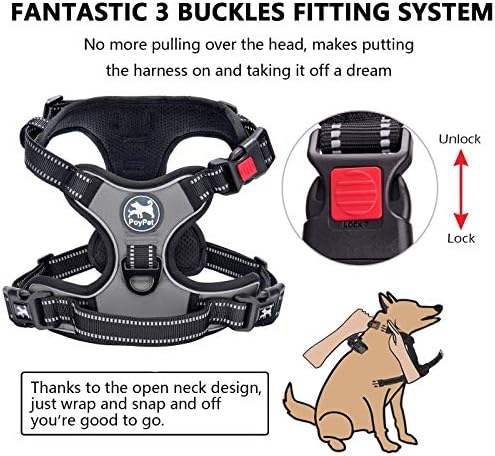 PoyPet No Pull Dog Harness Large with Front Clip & Neck Release Buckle - Image 2