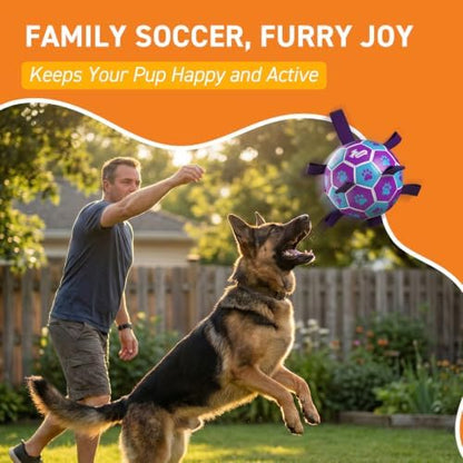 QDAN Big Dog Toys, Large Herding Ball for Dogs Large, Outoor Soccer - Image 5
