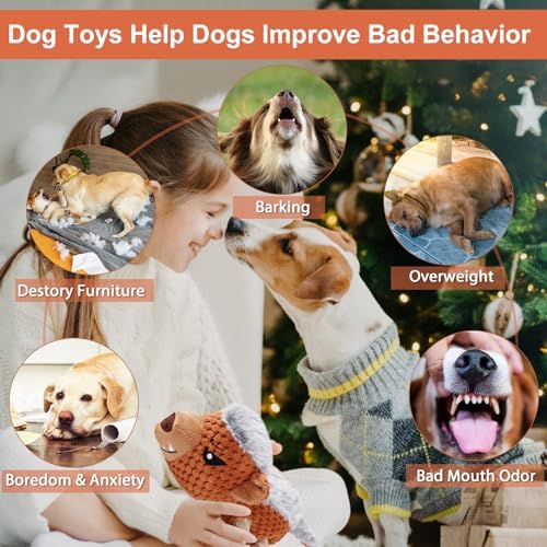 Letsmeet Dog Toys - Squeaky Interactive Plush Dog Toy with Rope, Chew Toy for Large Dogs, Small Dogs & Puppies - Tug of War Dog Toy for Aggressive Chewers, Pet Toys for Dogs - Image 4
