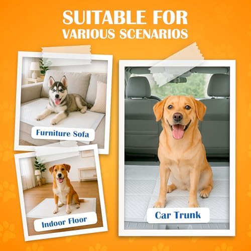 Paws & Claws Medium 24x24 Pee Pads for Dogs, 50 Count, Adhesive Tabs - Image 5