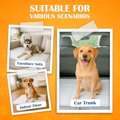 Paws & Claws Medium 24x24 Pee Pads for Dogs, 50 Count, Adhesive Tabs - Image 5