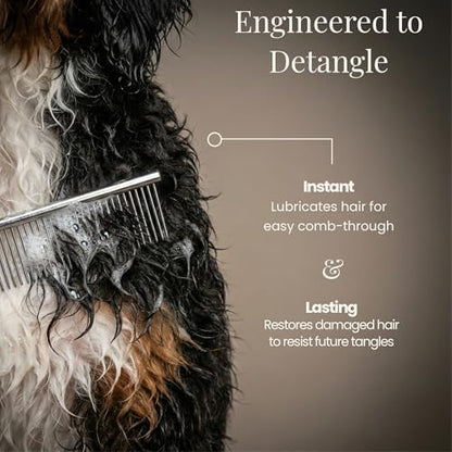 Premium Doodle Shampoo and Conditioner – Detangling Dog Shampoo for Doodles, Goldendoodles, Bernedoodles, and Labradoodles – Adult & Puppy Shampoo, Lavender, 16oz - Image 3