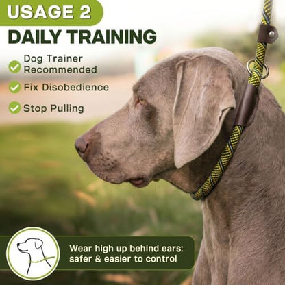 Fida Durable Slip Lead Dog Leash, 6 FT x 3/8" Dog Training Leash, Yellow - Image 5
