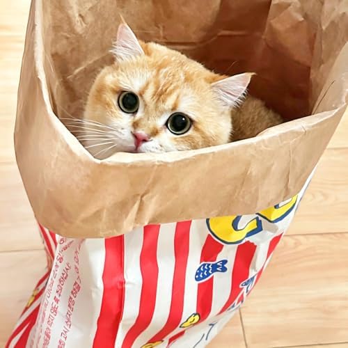 Large Crinkle Cat Sack 25.6 x 19.7 Inch Foldable Kraft Paper Cat Play Bag, Interactive Cat Hideaway Tunnel Toy, Multifunctional Cat House Decor for Kittens Small Pets - Image 2