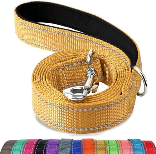 Joytale Reflective Dog Leash for Small Dogs, 6 FT x 3/4", Khaki by Joytale