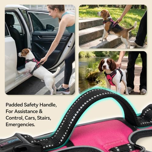 PHOEPET No Pull Dog Harnesses for Small Puppies Reflective Adjustable - Image 4