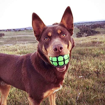 Dog Balls Toys Squeaky Fetch - Rubber Funny Ball Gifts for Large Medium Dogs (Variety Pack) - Image 3