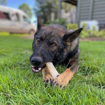 Nylabone Power Chew Textured Bone Dog Chew Toy, Original Flavor, X-Large - Image 2