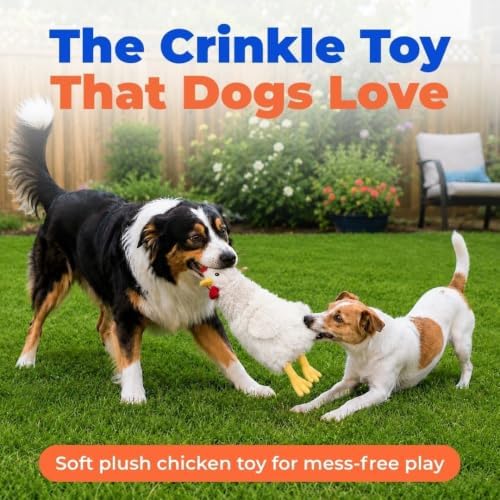 Best Pet Supplies Interactive Squeaky Dog Toy - Crinkle Chicken, Beige - Image 2