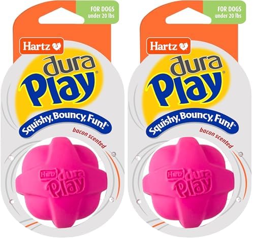 Hartz DuraPlay Bacon Scented Dog Toys, Small (Assorted Color) (Pack of 2) by Hartz