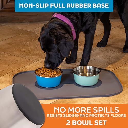 Master Pet Supply Stainless Steel Dog Bowls Set of 2 - Stainless - 32 Oz - Image 4