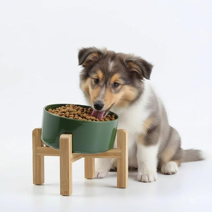 Petygooing Elevated/Raised 15°Slanted Ceramic Dog Bowl for Small and Medium Breeds, Tilted Anti Slip Pet Feeding Bowl,Food Water Dish with Stand for Cats and Dogs (28 OZ/3.6 Cups) Rust Green