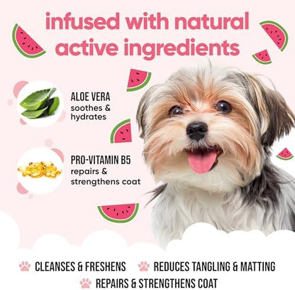 Watermelon Dog Shampoo by Buddycare | Dry Skin & Itchy Skin Relief for Smelly Dogs | Deep Cleansing Shampoo for Dogs Puppy Sensitive Skin | Dog Shampoo & Conditioner | with Aloe & Vitamin B5 (16.90oz) - Image 3