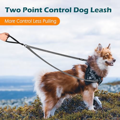 PetBonus Two Point Control Dog Leash, No Tangle Training Walking Leashes - Image 2