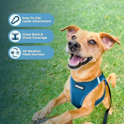 Best Pet Supplies Voyager Step-in Air All Weather Mesh Harness and Reflective Dog 5ft Leash Combo with Neoprene Handle, for Small, Medium and Large Breed Puppies - Turquoise, Large - Image 5