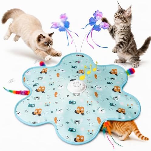 Interactive Cat Toys, Rechargeable with Auto Play and Bird Chirps by Unknown