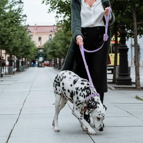 Wisedog Two Handles Dog Leash, Lilac, S|0.8" x 4.2 ft-5 ft - Image 6