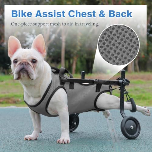Grey Dog Wheelchair for Back Legs,Pet Walk Tools Comfortable Breathable Mesh for Dogs，Adjustable Mobility Aid for Disabled Pets, Leg Brace and Hip Support - Image 3