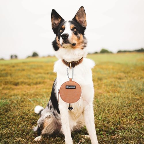 Dog Poop Bag Holder for Leashes- Dog Treat Pouch with Waterproof Zipper,Puppy Training Small Bag with Carabiner & Bungee Toggle,Two Pockets for Dry or Wet Treats-Pet Travel Walking Essentials (Orange) - Image 7