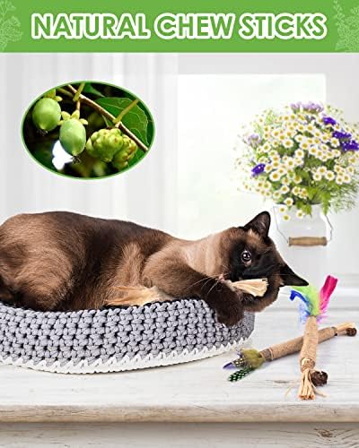TINDTOP Silvervine Sticks for Cats with Natural Feather, Catnip Chew Toys - Image 5
