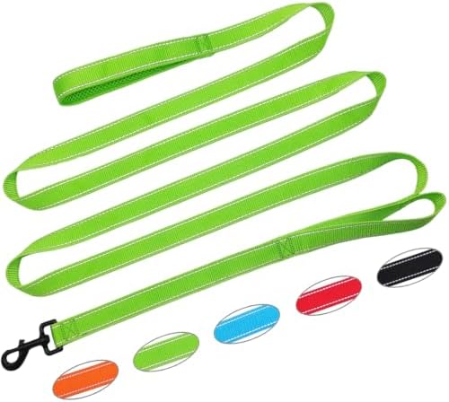 10FT Dog Leash with Traffic Handle Reflective Large Medium Dogs by SEPXUFORE