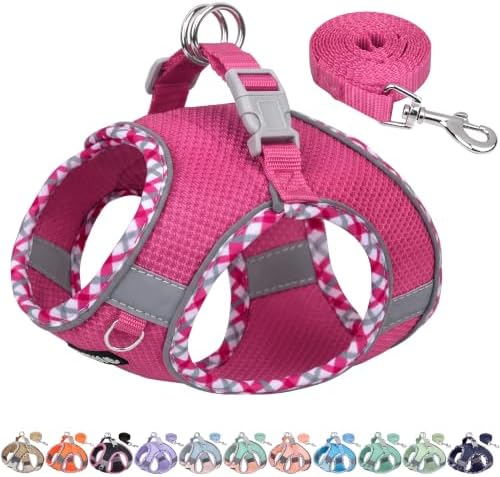 AIITLE XXS Dog Harness & Leash Set with Reflective Design, Hot-Pink, XXS by AIITLE-FORPETSBETTERLIFE