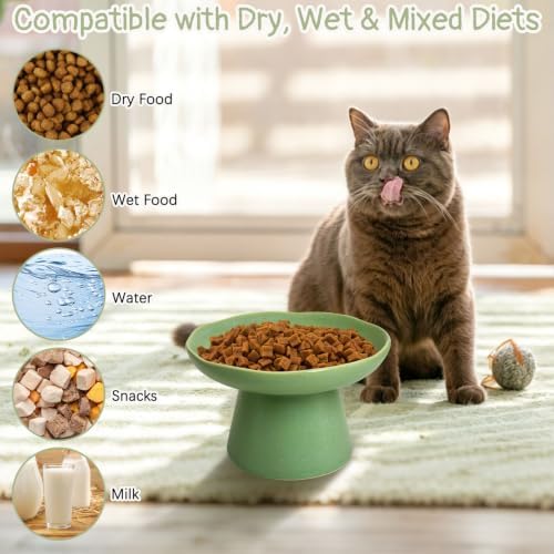 VCEPJH Raised Cat Food Bowls Shallow Cat Plate Ceramic Elevated Cats Dish 6.1in Flat Anti Whisker Fatigue Wide Pet Food & Water Feeder for Indoor Kitty Kitten (Green) - Image 4