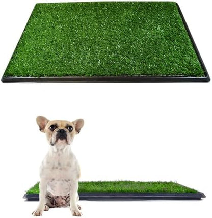 Downtown Pet Supply Dog Grass Pad with Tray, 16 x 20 - Outdoor and Indoor Potty System for Dogs with Replaceable Synthetic Grass Pee Turf - Portable and Waterproof Turf Dog Potty by DowntownPetSupply