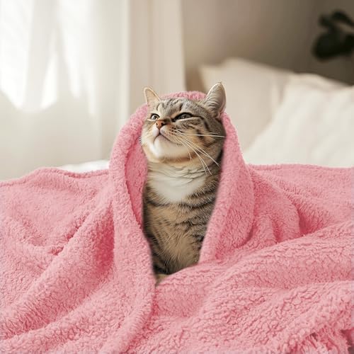Luciphia Ultra Soft Sherpa Fleece Dog Puppy Cat Blanket for Small Pets - Image 6