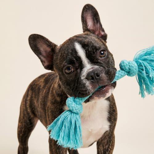 Playology Tug Rope Dog Toys for Small Dogs - Small, Peanut Butter Scent - Image 3