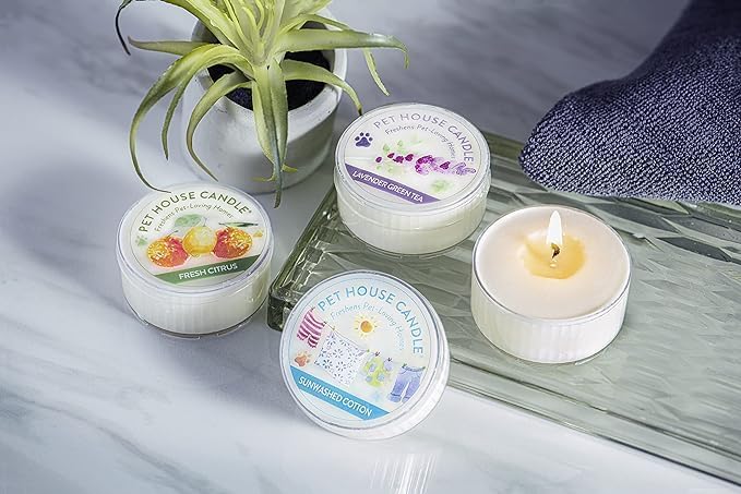 Pet House Mini Candles for Pet Odor Made with Natural Soy Wax, Plant Based, Dog and Cat Friendly Scented Candles, Orange Spice Pack of 3