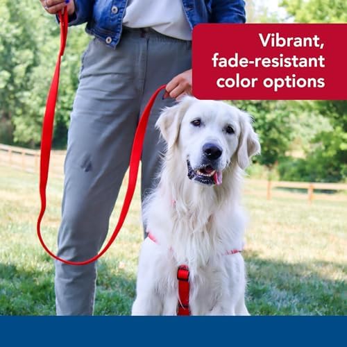Coastal Pet Double-Ply Dog Leash - Bolt Snap Attachment to Collars and Harnesses - Nylon Dog Walking Leash for Small, Medium and Large Dogs - Red - 1" x 4' - Image 6