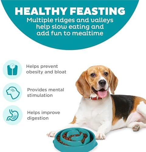 Outward Hound Fun Feeder Slo Bowl – Medium 2‑Cup Capacity, Slow Feeding, Small to Medium Dogs & Cats, Non-Slip, Turquoise, Drop Pattern - Image 2