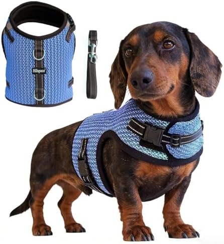 Mini Dachshund Harness Vest, No Pull & No Armpit Rub Dachshund Harness, Escape Proof Adjustable Dog Harness for Walking (Blue, L: Chest 53-63cm (21"-25")) by Unknown