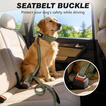 Double Handle Dog Leash with Poop Bag Holder and Car Seat Belt Buckle - Image 4
