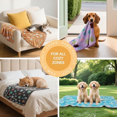 Luciphia 1 Pack 6 Dog Blankets Cat Soft Fluffy Fleece Pet Blanket Warm Cute Print Design Puppy Kitten Doggy Paw Large(41"x31") - Image 3